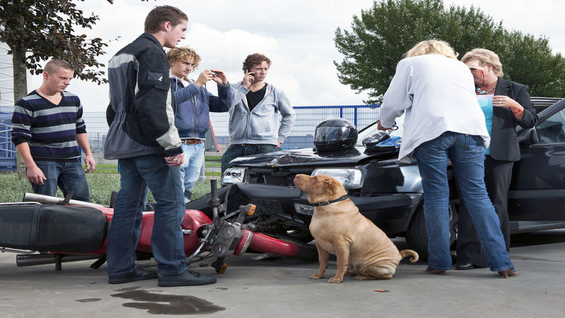 What Can an Accident Lawyer in Richmond Do for You?